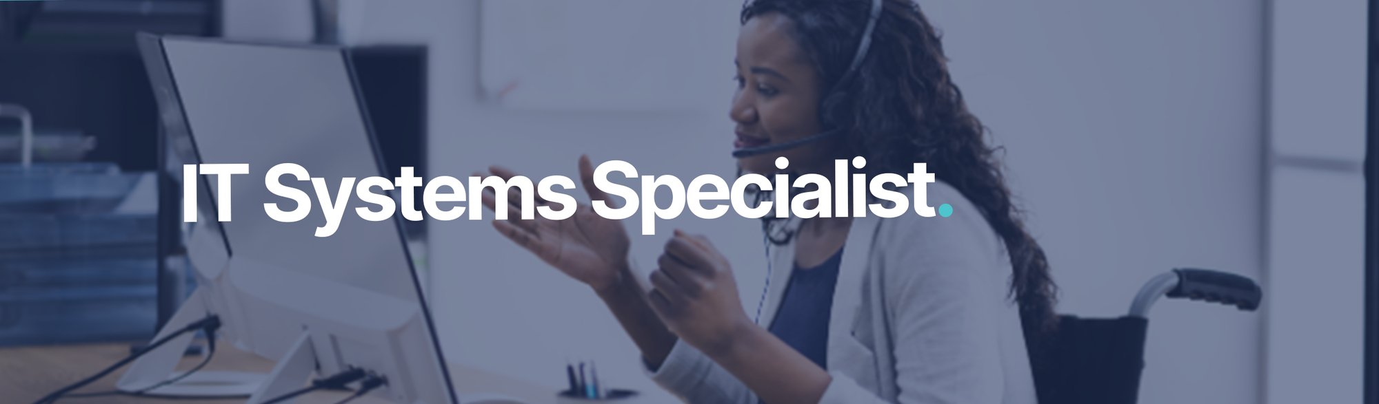 IT Systems Specialist