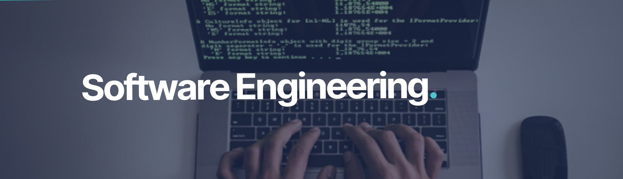 software engineering